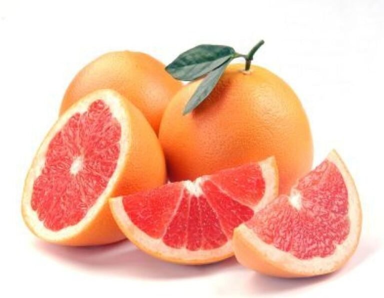 كريب فوت Grapefruit بعد الزراعة